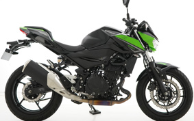 KAWASAKI Z250 EX250Y