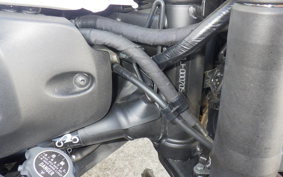 YAMAHA XSR700 2022 RM41J