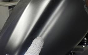 HARLEY XL883N 2019