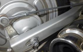 HONDA APE 100 2022 HC07