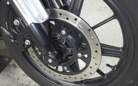 OTHER +ENFIELD SUPER ﾒﾃｵ650 2025