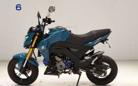 KAWASAKI Z125 PRO 2007 BR125H