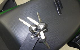 KAWASAKI NINJA 1000 A 2020 ZXT00W