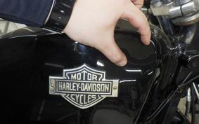 HARLEY XLCR1000 2012