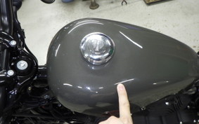 HARLEY XL1200X 2019
