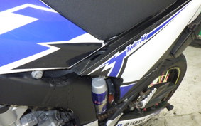 YAMAHA WR250X 2022 DG15J