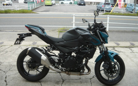 KAWASAKI Z250 EX250P