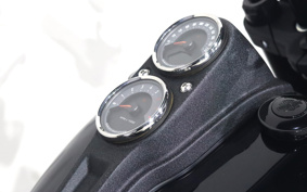 HARLEY FXLRS 2020 YWK