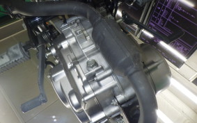 HONDA APE 50 2021 AC16