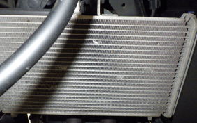 YAMAHA YZF-R25 2010 RG43J