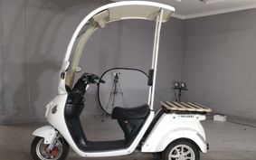 OTHER  BLAZE EV DELIVERY  ..