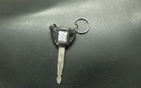 SUZUKI GEMMA 250 2020 CJ47A