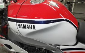 YAMAHA XSR900 GP 2025 RN96J