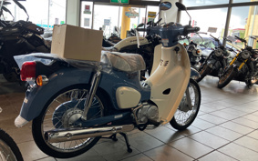 HONDA SUPER CUB50 AA09