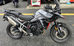 TRIUMPH TIGER 900GT PRO 2024 TRC82D