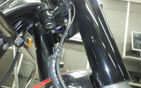 OTHER +ENFIELD CLASSIC350 2024