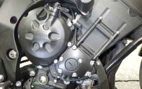 YAMAHA FZ1 FAZER 2010 RN21J