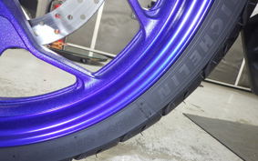 YAMAHA MT-25 2017 RG10J