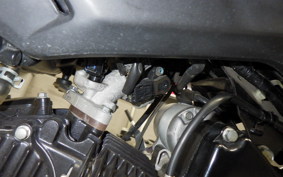 HONDA GROM 2009 JC61