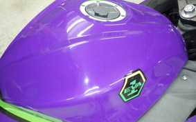 KAWASAKI NINJA 250 2021 EX250L