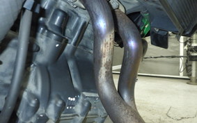 KAWASAKI Z250 Gen.2 2025 EX250Y