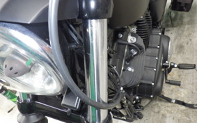 HARLEY XL883N 2021