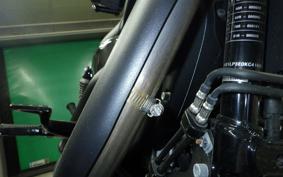 HARLEY XL1200NS 2019