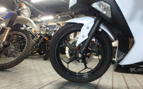 KAWASAKI NINJA 250 EX250L