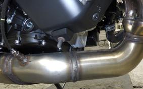 YAMAHA XSR900 GP 2026 RN96J