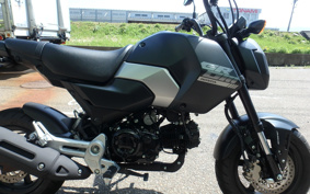 HONDA GROM JC92
