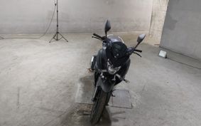 YAMAHA FATHER 250 RG42