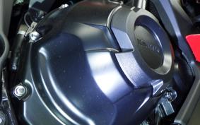 KAWASAKI NINJA 1000 SX 2024 ZXT02K