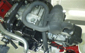 HONDA MONKEY