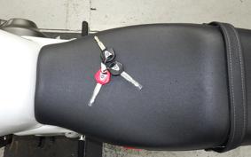 YAMAHA XSR900 GP 2025 RN96J