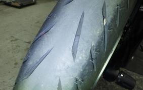 KAWASAKI NINJA 1000SX 2024 ZXT02K