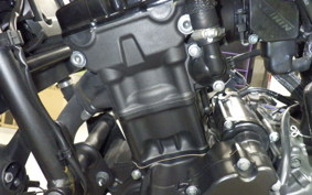 HONDA REBEL 250 2019 MC49
