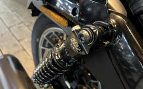 HARLEY RH975S NIGHT STAR 2023 ZF1