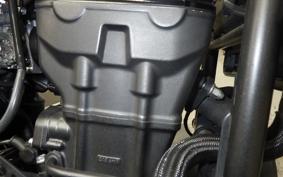 HONDA REBEL 250 S 2001 MC49