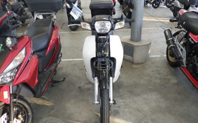 HONDA C110 SUPER CUB 2009 JA10