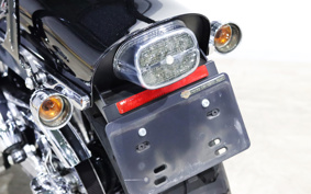 HARLEY FXDF 2009 GY4