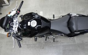 YAMAHA FZ1 FAZER 2012 RN21J