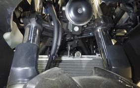 KAWASAKI NINJA 250 2021 EX250P