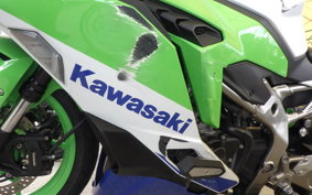 KAWASAKI ZX-4RR 2024 ZX400P