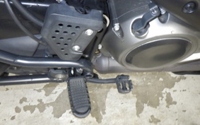 HARLEY ﾊﾟﾝ AMERICA1250S 2021