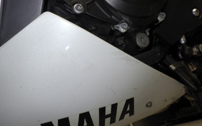 YAMAHA YZF-R1 2009