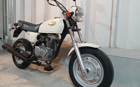 HONDA APE 100 2002 HC07