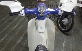 HONDA C50 SUPER CUB 1996 AA01