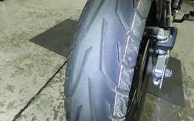 KAWASAKI KLX250D TRACKER 2008 LX250E