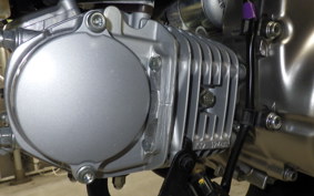 HONDA MONKEY 125 ABS 2019 JB02