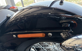 HARLEY FXST1340-1450 2020 BVJ